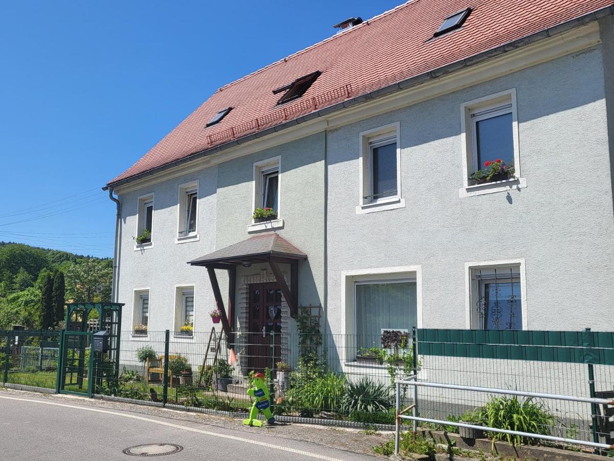 Ferienwohnung Simmert Kurort Gohrisch Ngoại thất bức ảnh